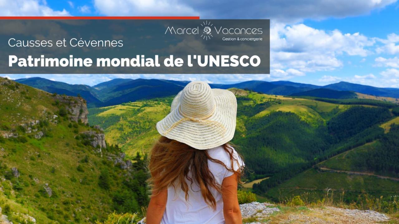 Appartement Aux Portes Des Gorges Du Tarn Ispagnac Kültér fotó